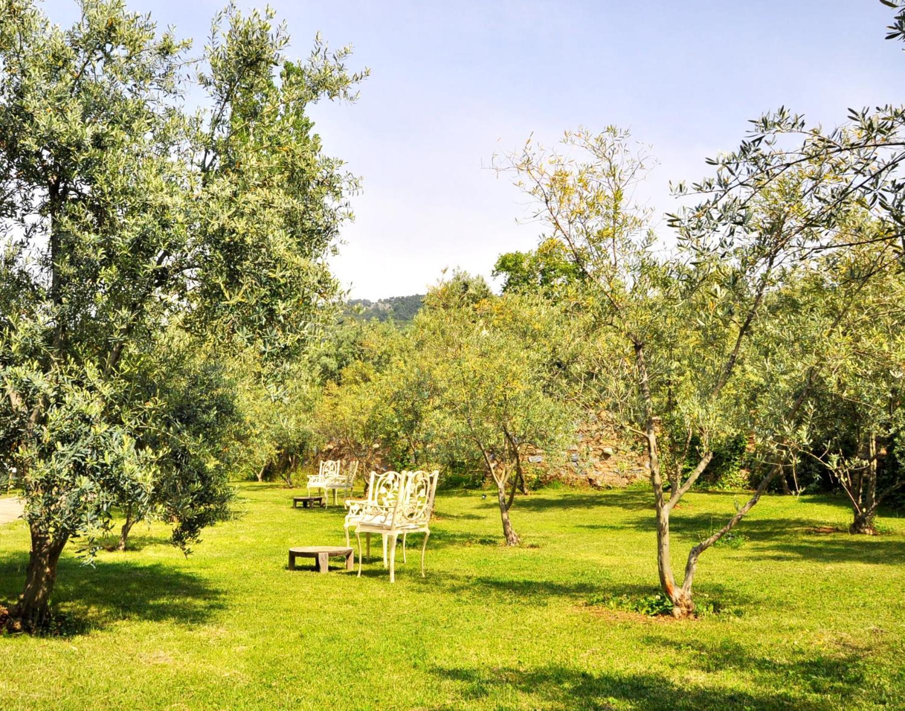 กึลลึ โคนักลารึ Hotel Selcuk ภายนอก รูปภาพ