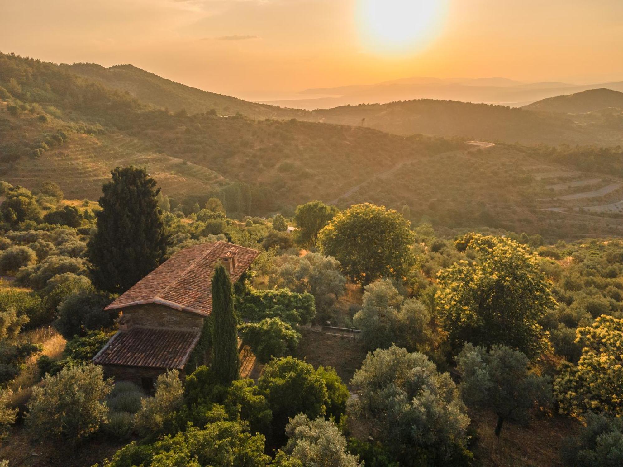 กึลลึ โคนักลารึ Hotel Selcuk ภายนอก รูปภาพ
