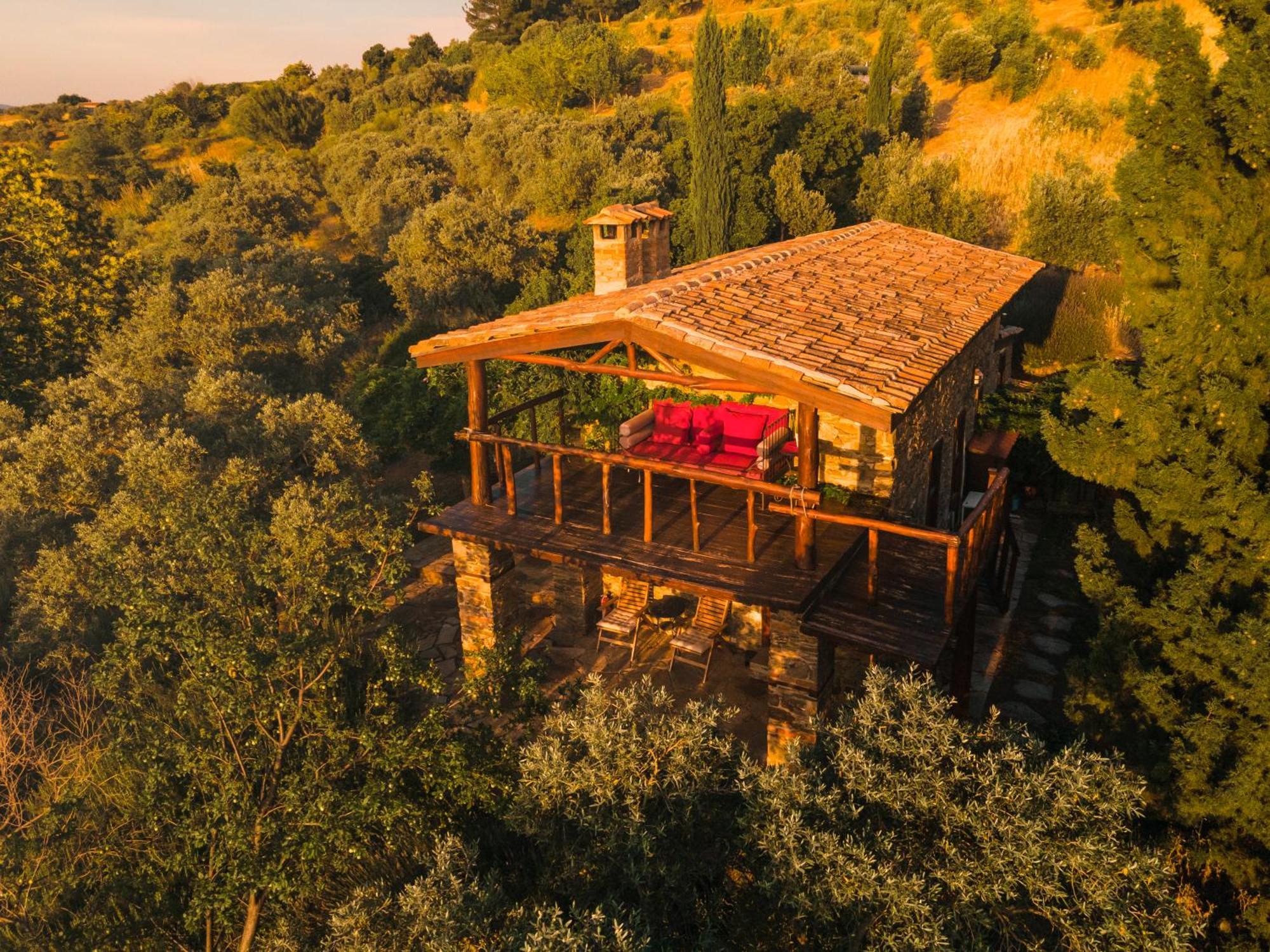 กึลลึ โคนักลารึ Hotel Selcuk ห้อง รูปภาพ