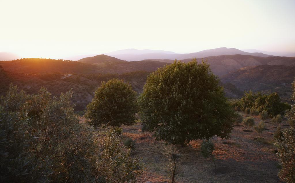 กึลลึ โคนักลารึ Hotel Selcuk ภายนอก รูปภาพ