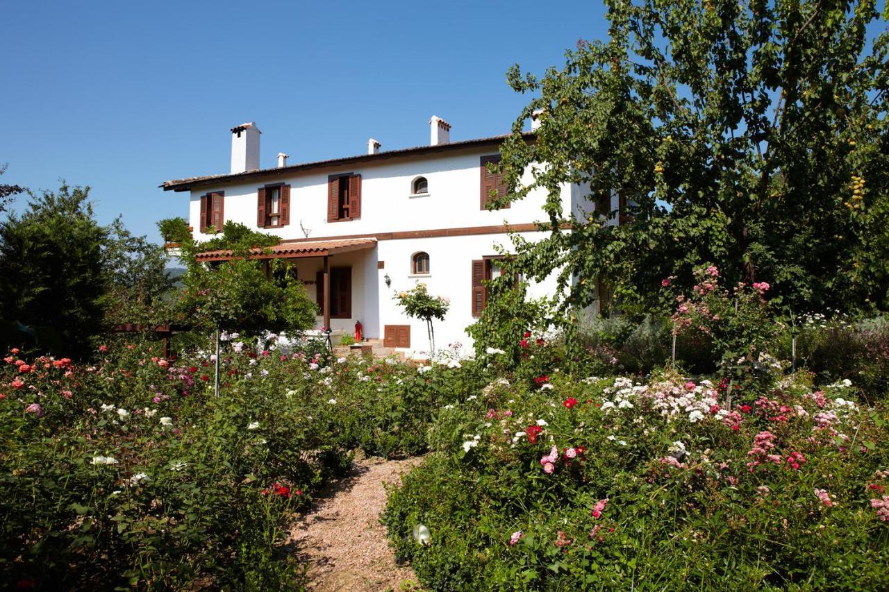 กึลลึ โคนักลารึ Hotel Selcuk ภายนอก รูปภาพ